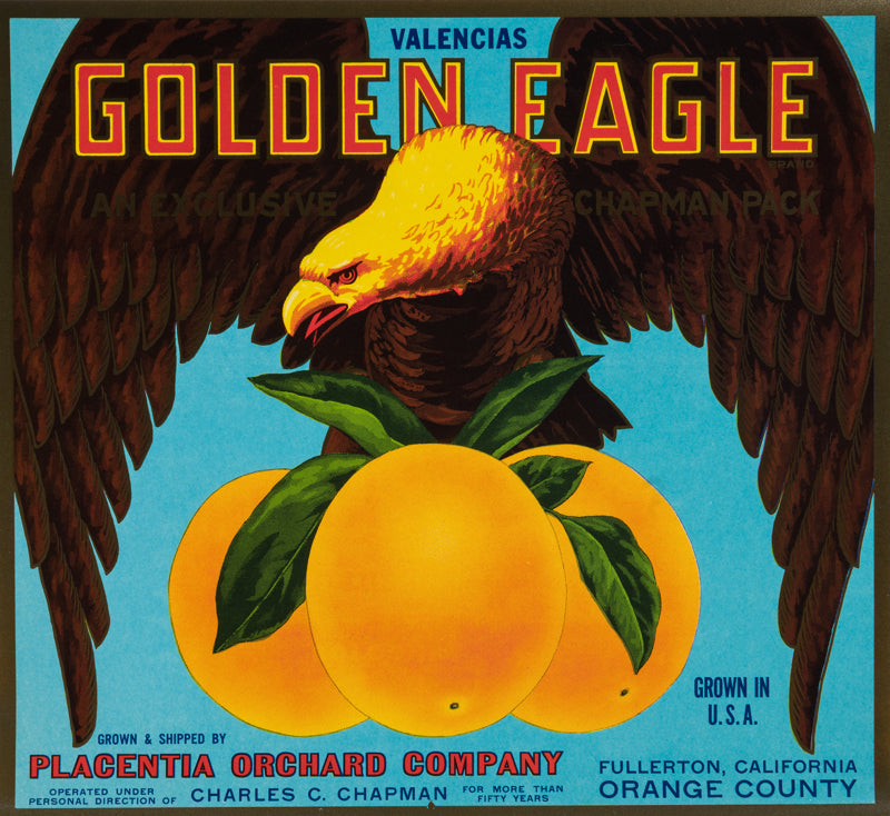 Golden Eagle Clothing Logo