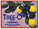 Tree-O | Lemon