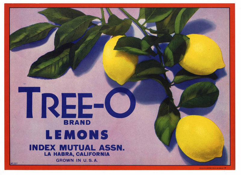 Tree-O | Lemon