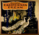 California Dream (orange)