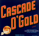 Cascade O' Gold