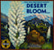 Desert Bloom