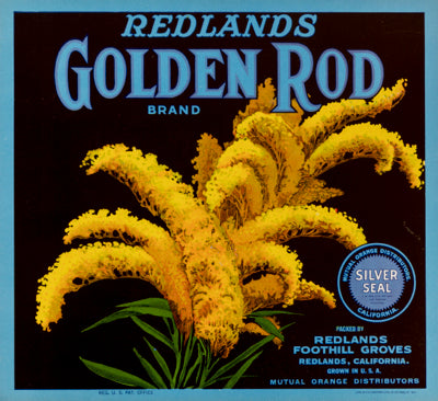 Golden Rod (Redlands)