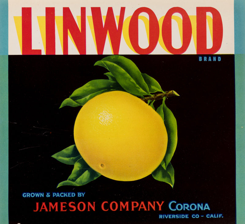 Linwood _ Grapefruit