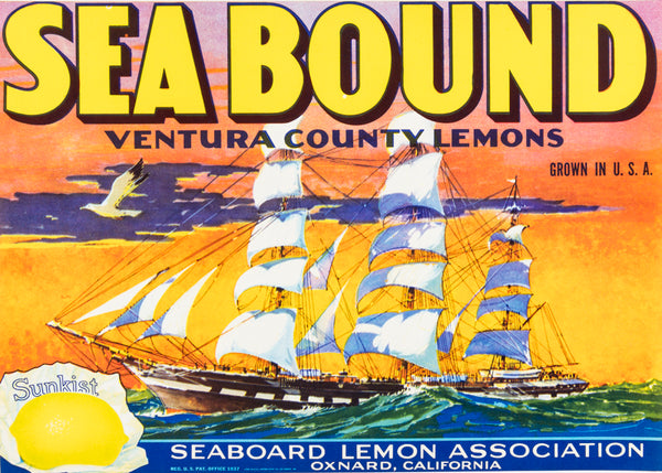 Sea Bound