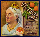 Victoria Oranges