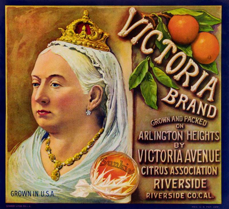 Victoria Oranges